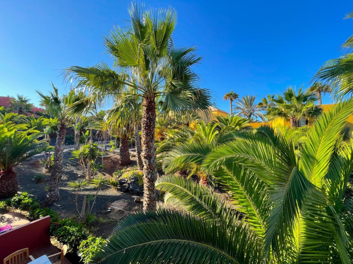 Oasis Tamarindo By Best Holidays Fuerteventura Corralejo Exteriér fotografie