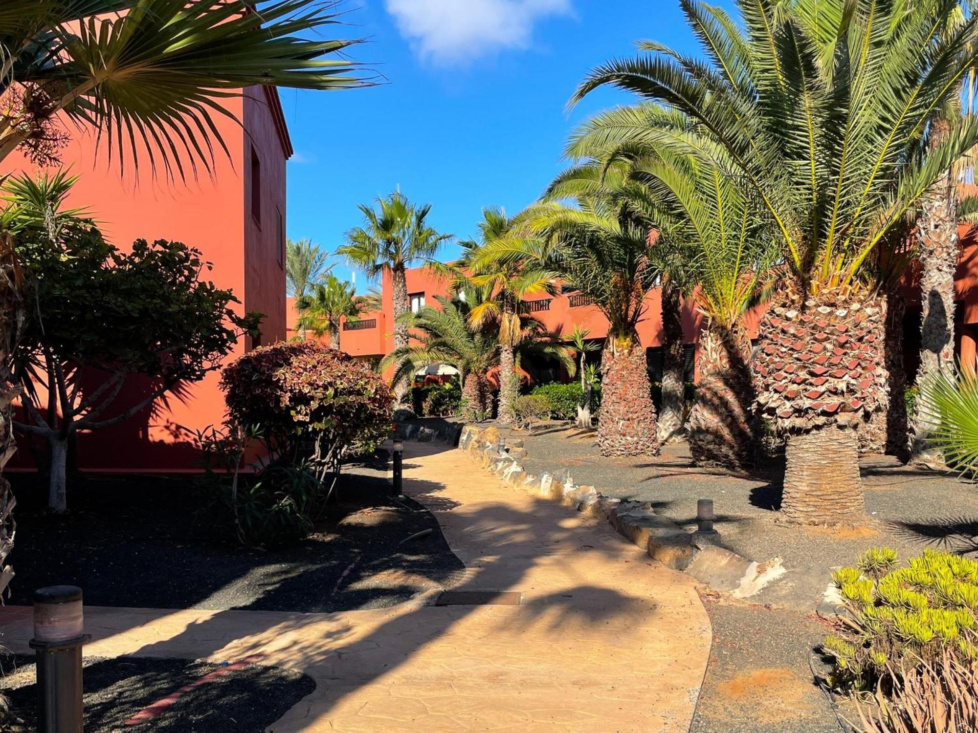 Oasis Tamarindo By Best Holidays Fuerteventura Corralejo Pokoj fotografie