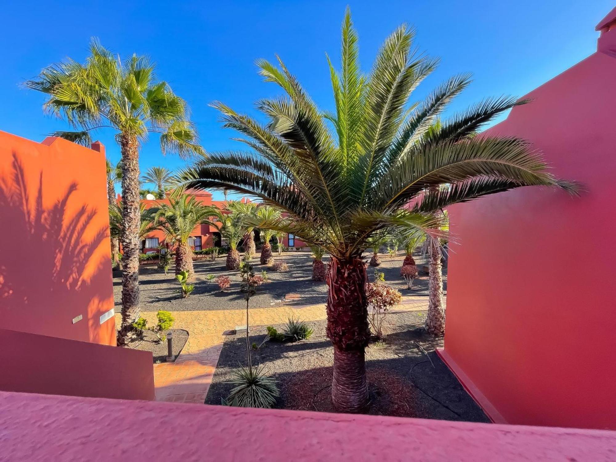 Oasis Tamarindo By Best Holidays Fuerteventura Corralejo Pokoj fotografie